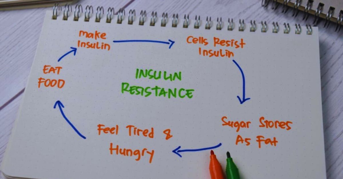 Insulin Resistance Part 1