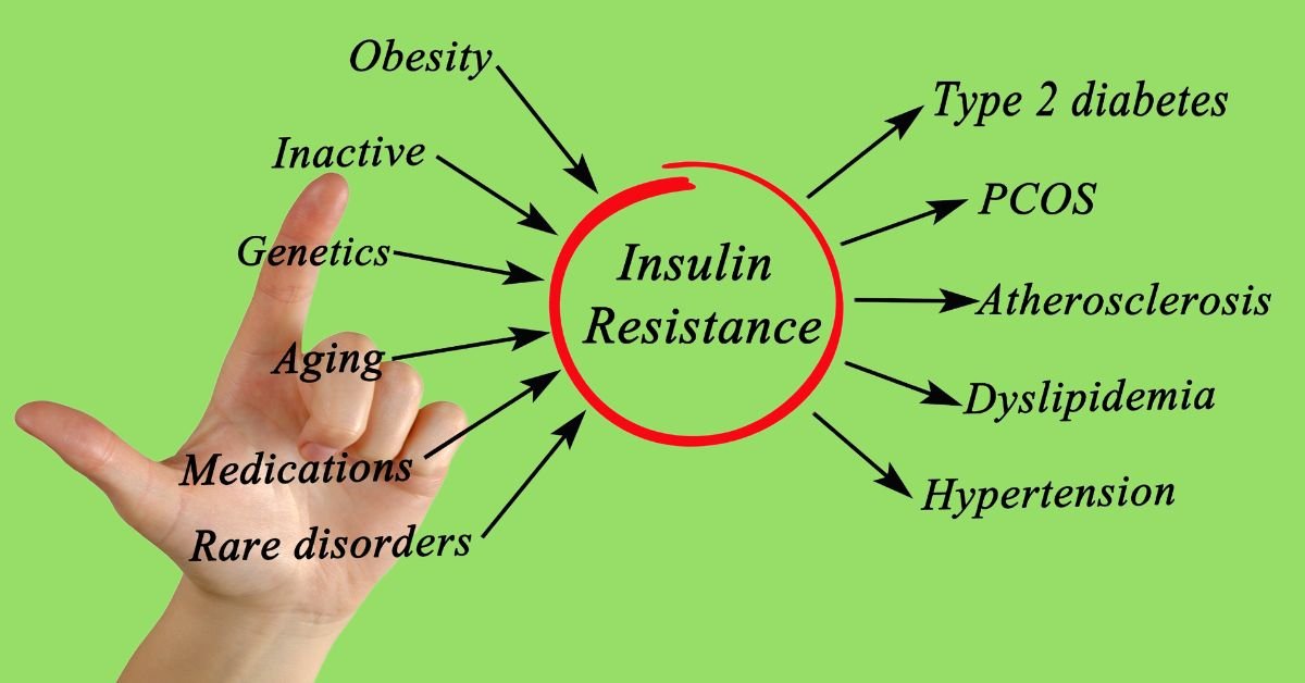 Breaking the Insulin Resistance Cycle: Understanding and Managing this Metabolic Disorder – Part 2