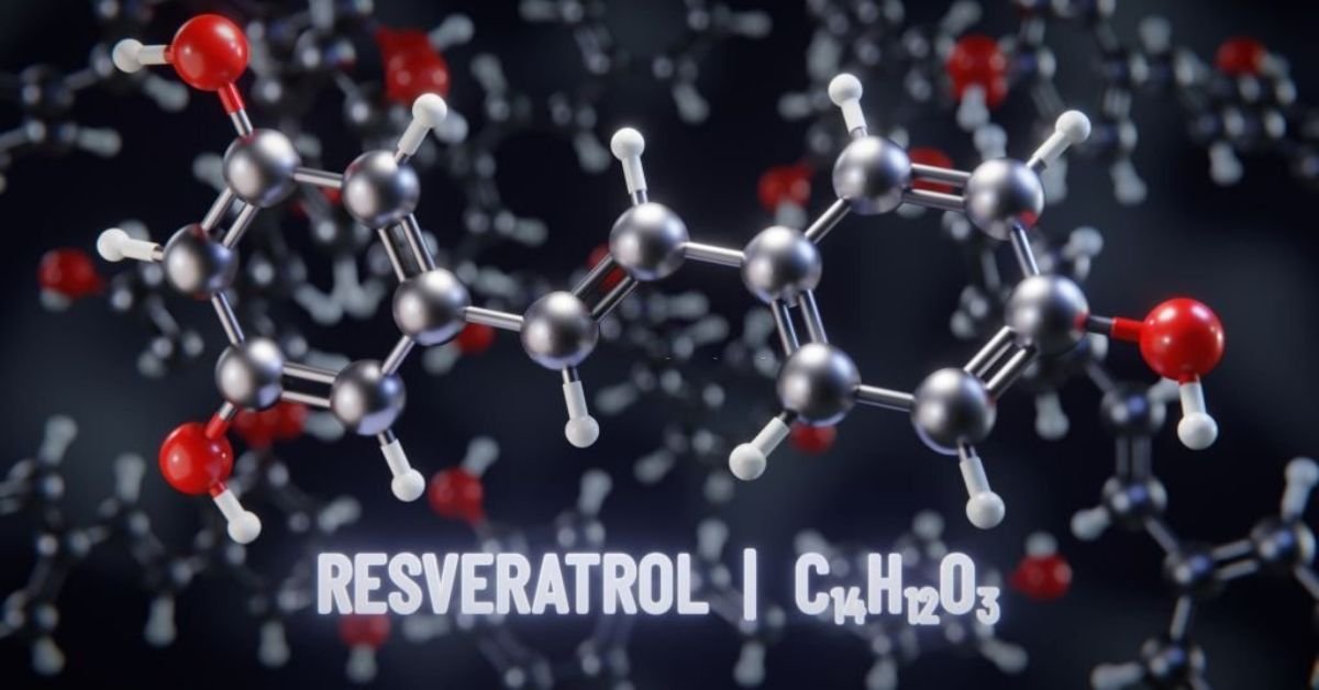 Resveratrol:Unravelling theHealth Benefits of a PowerfulCompound