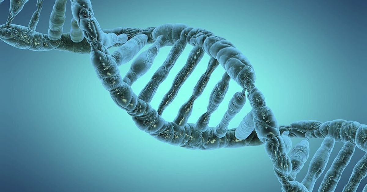 Discover the Power of Epigenetics: Unveiling the Secrets of Aging and Health