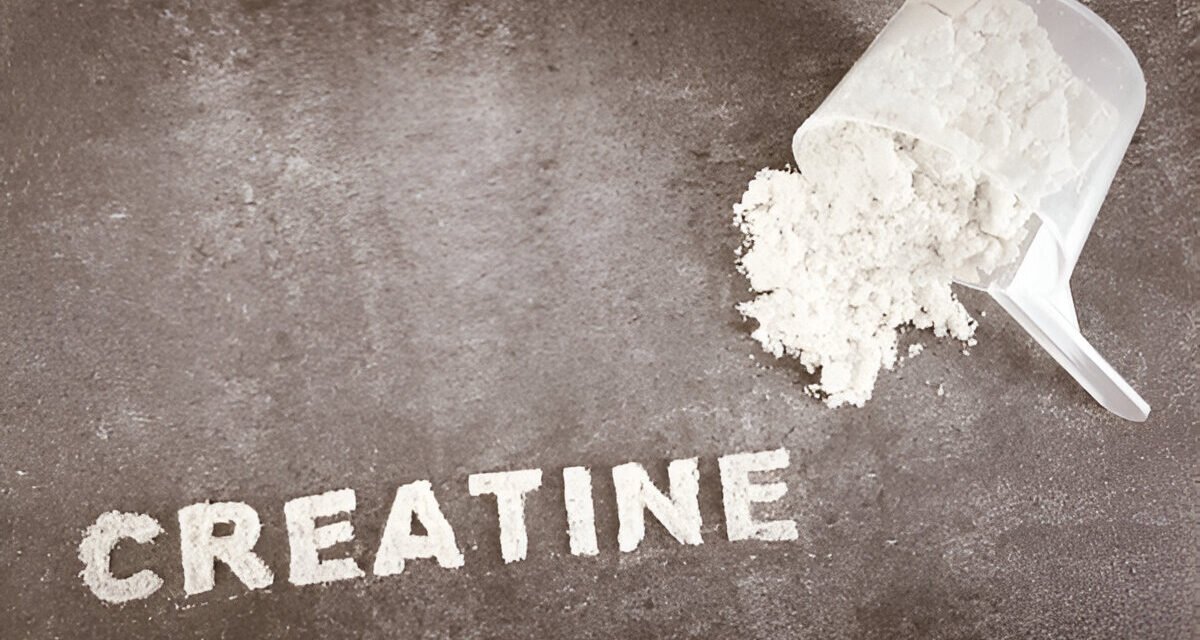 Creatine Monohydrate’s Role in Longevity