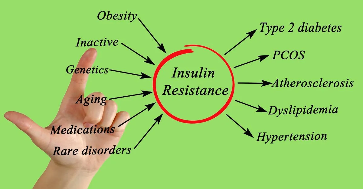 Breaking the Insulin Resistance Cycle: Understanding and Managing this Metabolic Disorder – Part 2