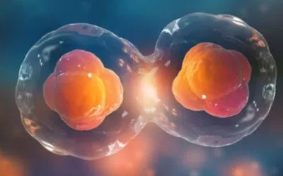 mTOR: Unlocking the Secrets of Cellular Growth and Metabolism