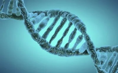 Discover the Power of Epigenetics: Unveiling the Secrets of Aging and Health