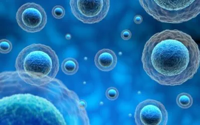 Decoding the Epigenetic Clock Yamanaka Factors in Cellular&nbsp;Rejuvenation.