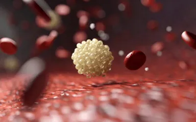 C15:0 – The Forgotten Fatty Acid That Could Slow Aging Naturally