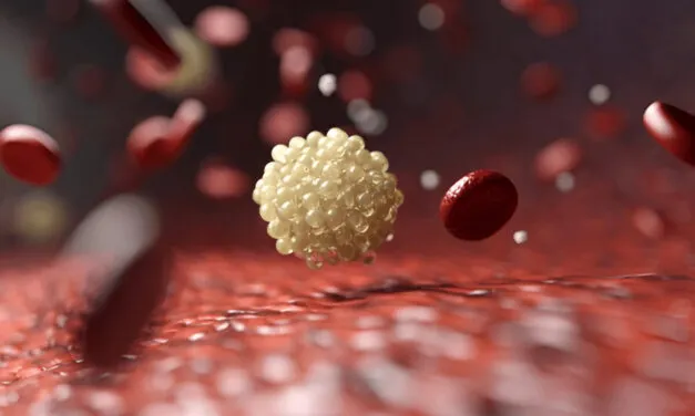 C15:0 – The Forgotten Fatty Acid That Could Slow Aging Naturally