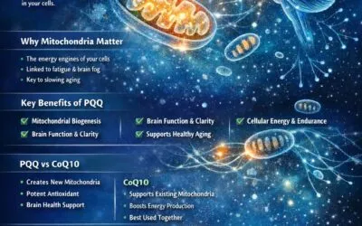PQQ (Pyrroloquinoline Quinone): A Complete Guide to Benefits, Dosage, and Longevity